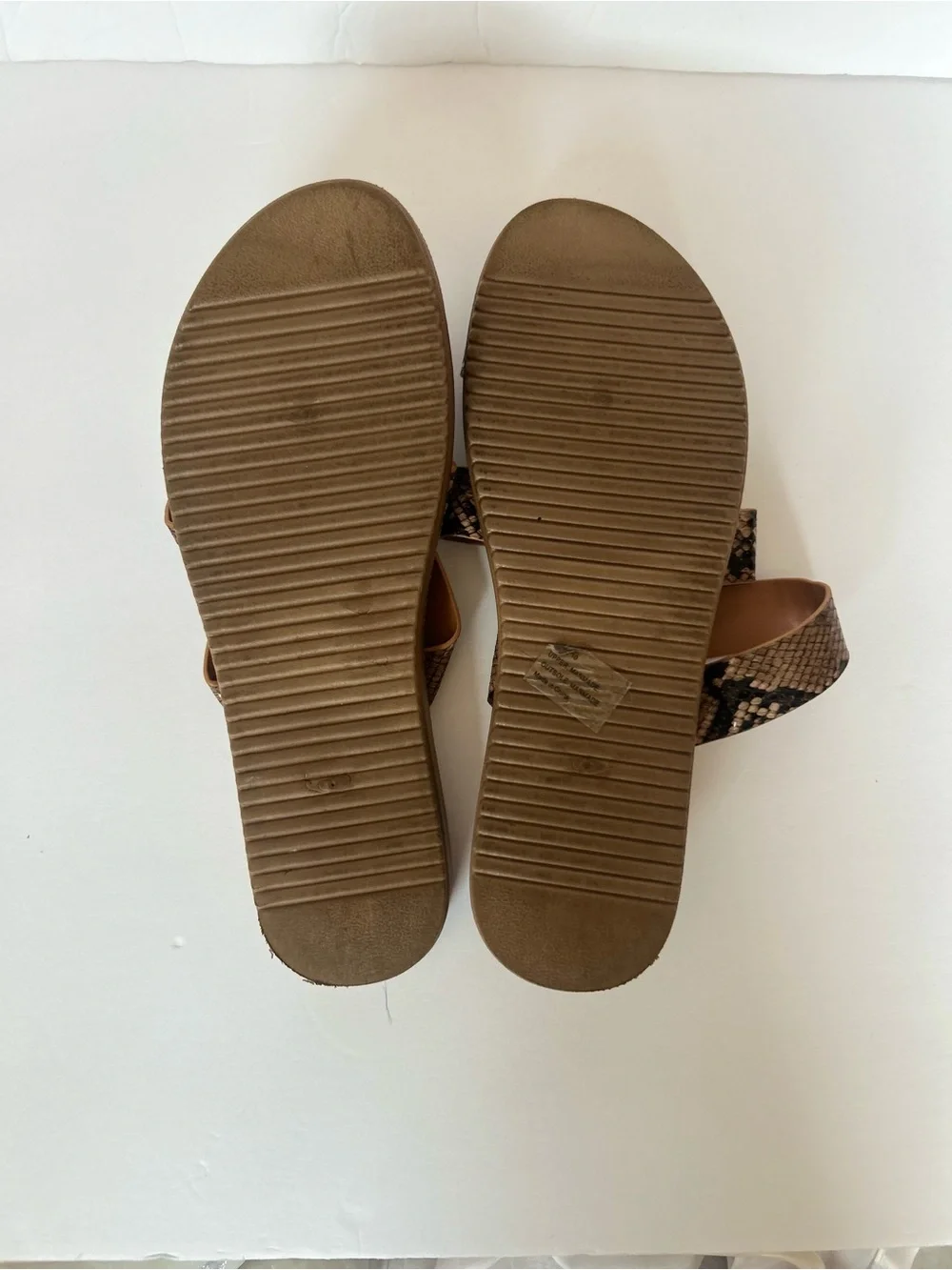 Olivia Miller Globe Trotting Sandals in Brown Snakeskin  Size 10